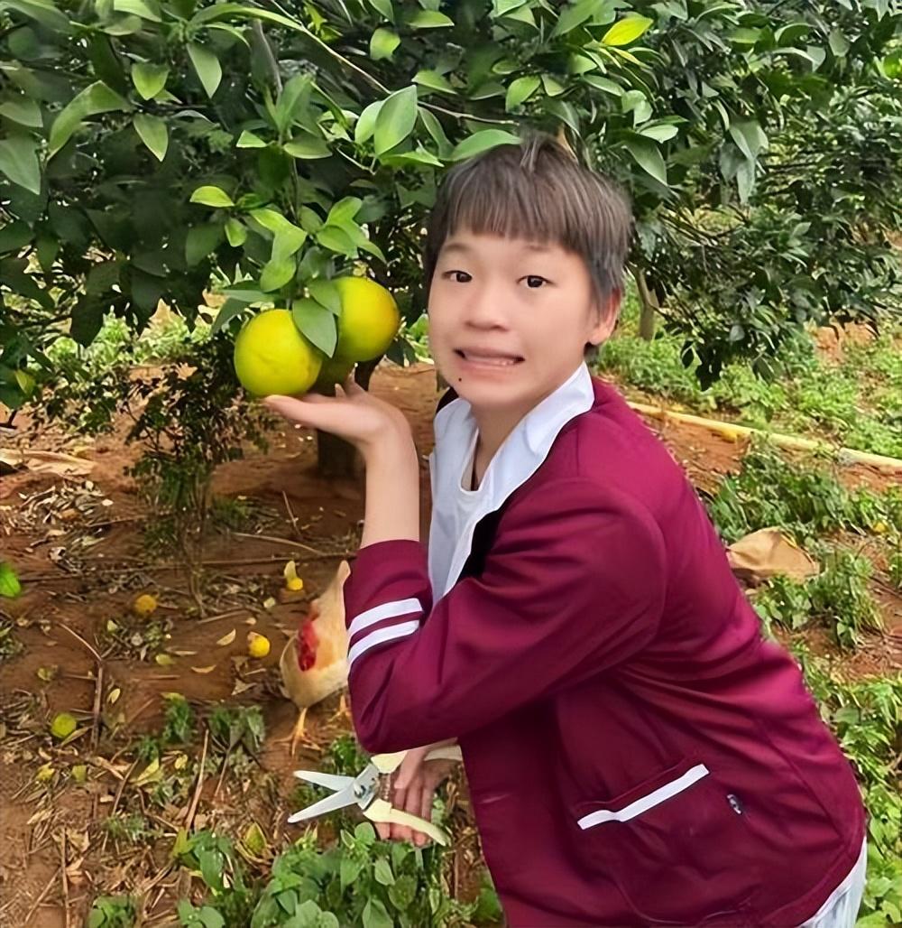 全红婵,用最好的手机,向妈妈表达无尽的爱 全红婵,用最好的手机,向妈妈表达无尽的爱